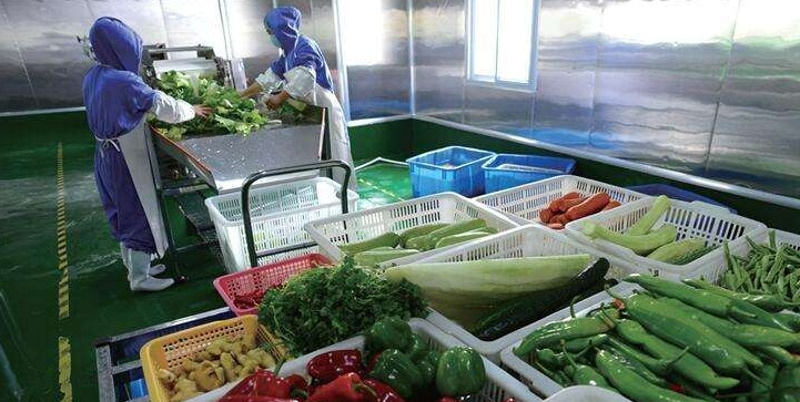 访谈记录:探索广东农产品批发市场的运作之道