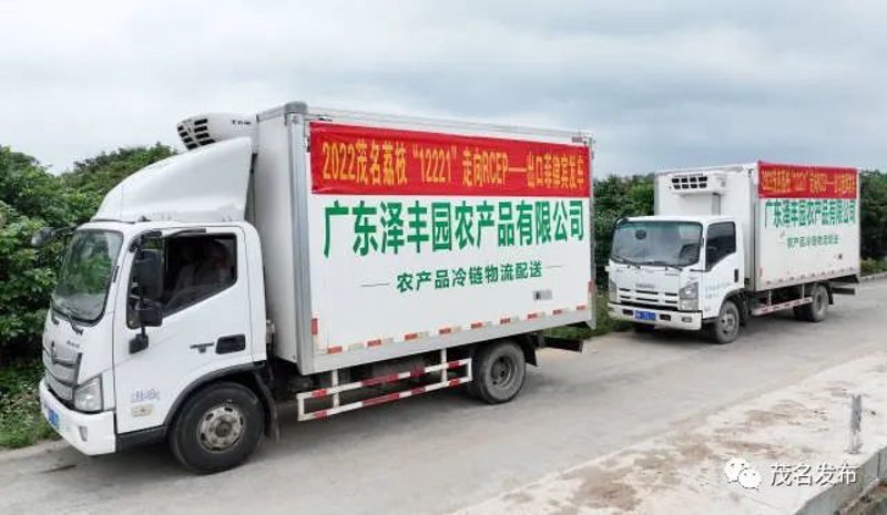 访谈记录:探索广东农产品批发市场的未来之路