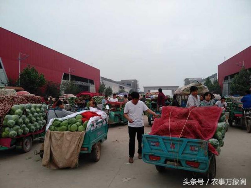 访谈记录：聊聊“我家农庄”如何成为乡村游新宠