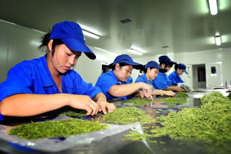 广东农产品质量安全智慧监管平台,让食品安全不再遥远