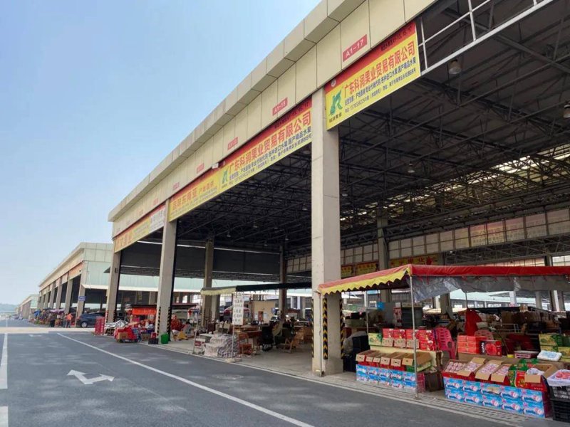 实战攻略:如何选择可靠的农产品供应商——以天津凤聚宝食用农产品有限公司为例